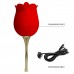 Pretty Love Rose Lover USB